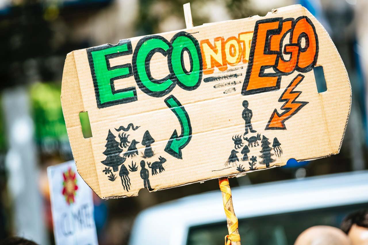 Eco vs Ego - Climate Change